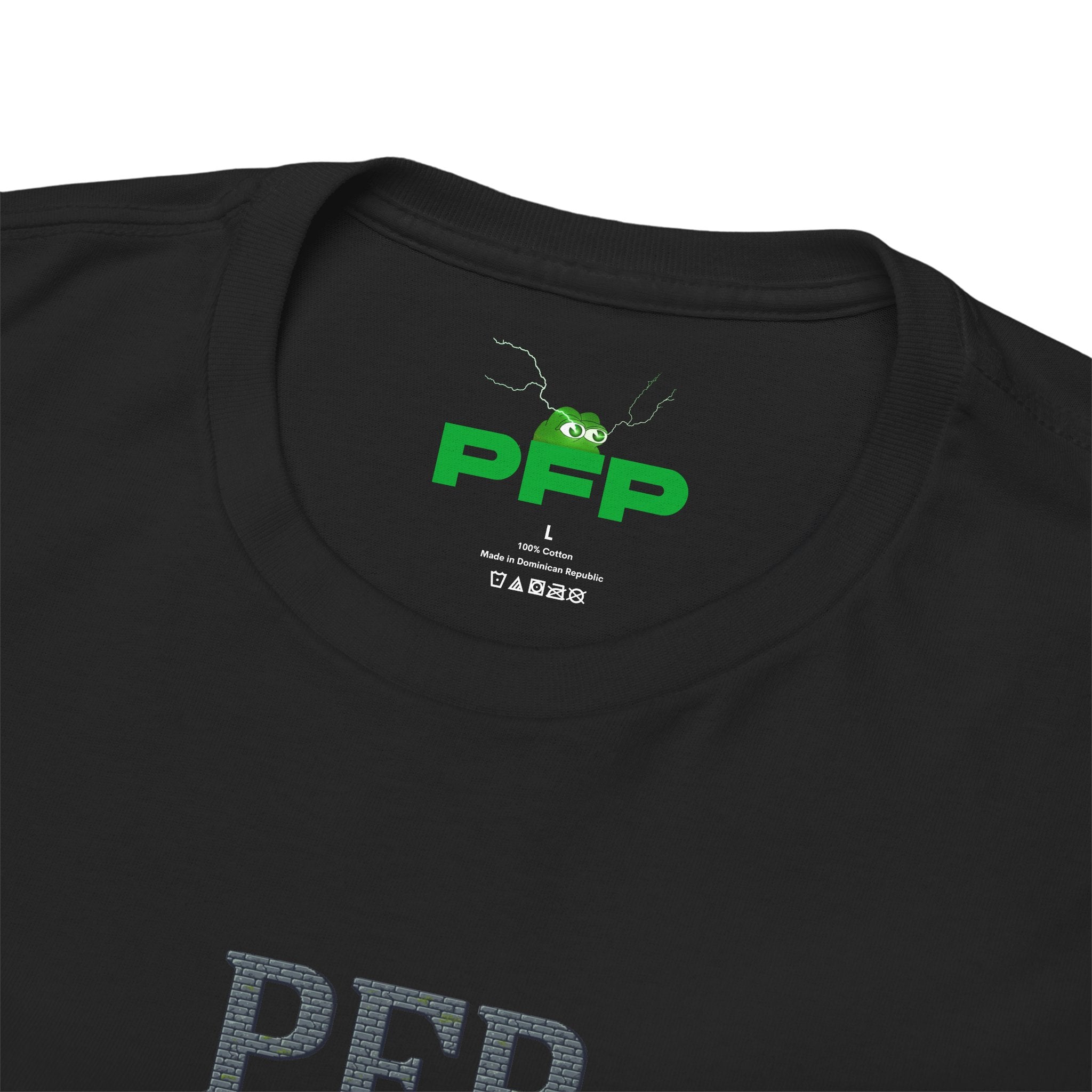PFP Dragon Warrior T-Shirt | Basic